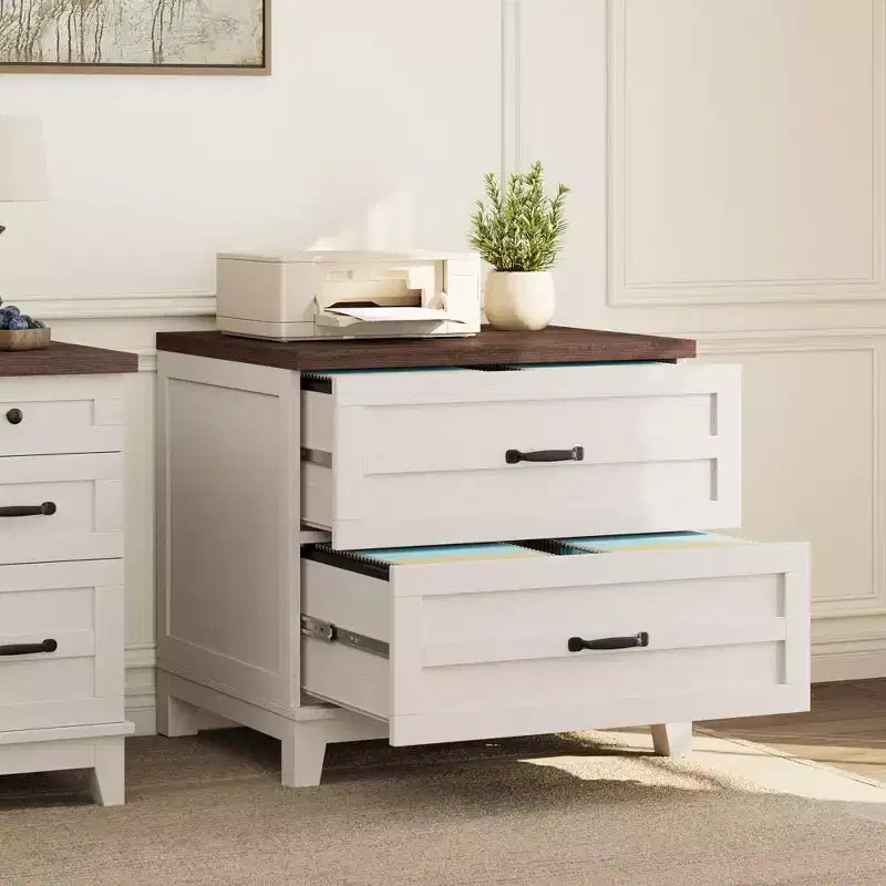 COZONY Farmhouse 2 Drawer File Cabinet, Lateral Wood Filing Cabinet for Letter Legal A4 Files, Rustic Brown White