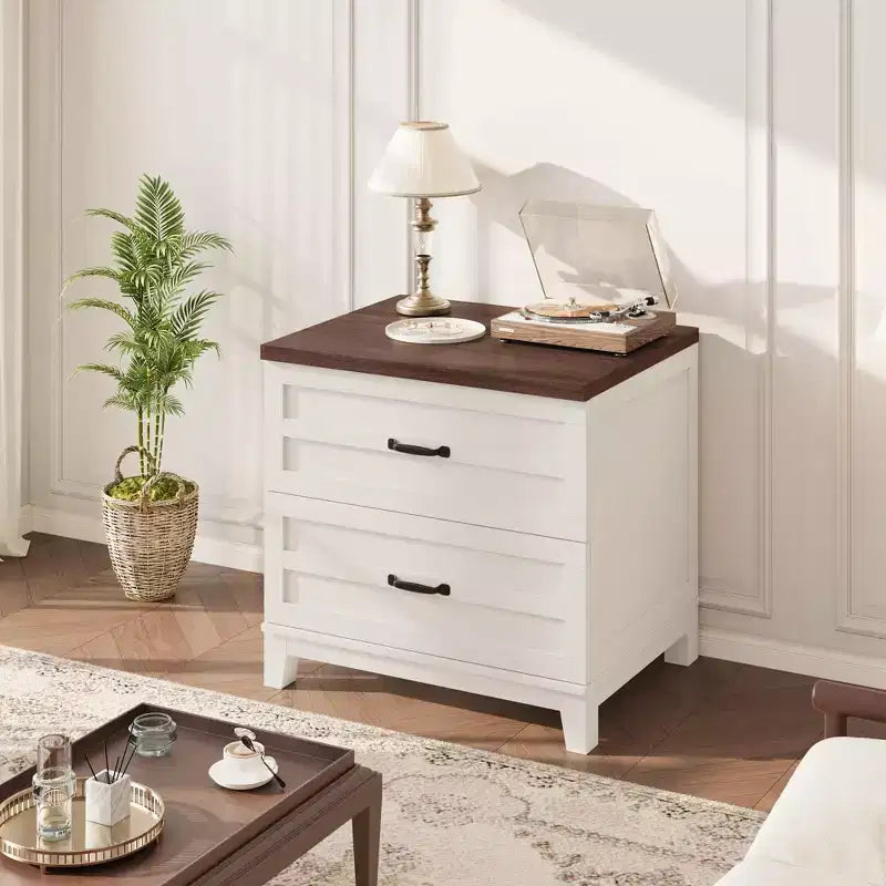 COZONY Farmhouse 2 Drawer File Cabinet, Lateral Wood Filing Cabinet for Letter Legal A4 Files, Rustic Brown White