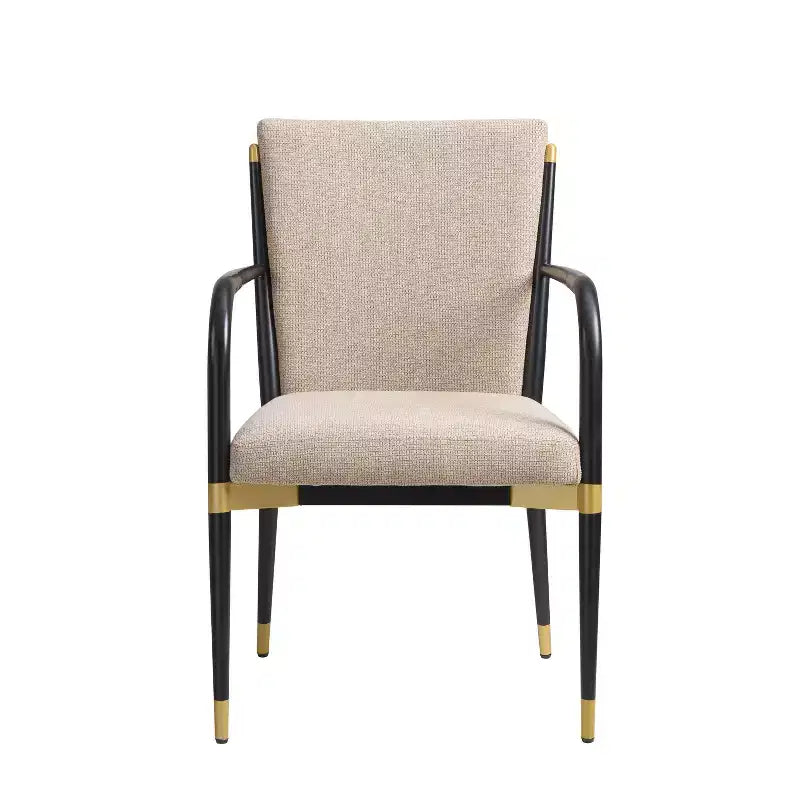 Christopher Knight Home Viola Modern Upholstered Dining Arm Chairs (Set of 2)