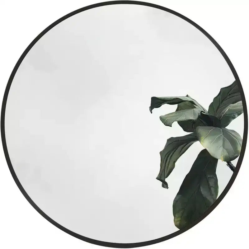 Modern Round Wall Mirror, Black Metal Circle Decorative Mirror for Living Room, Entryway, Bathroom Wall Decor - Panipeachy