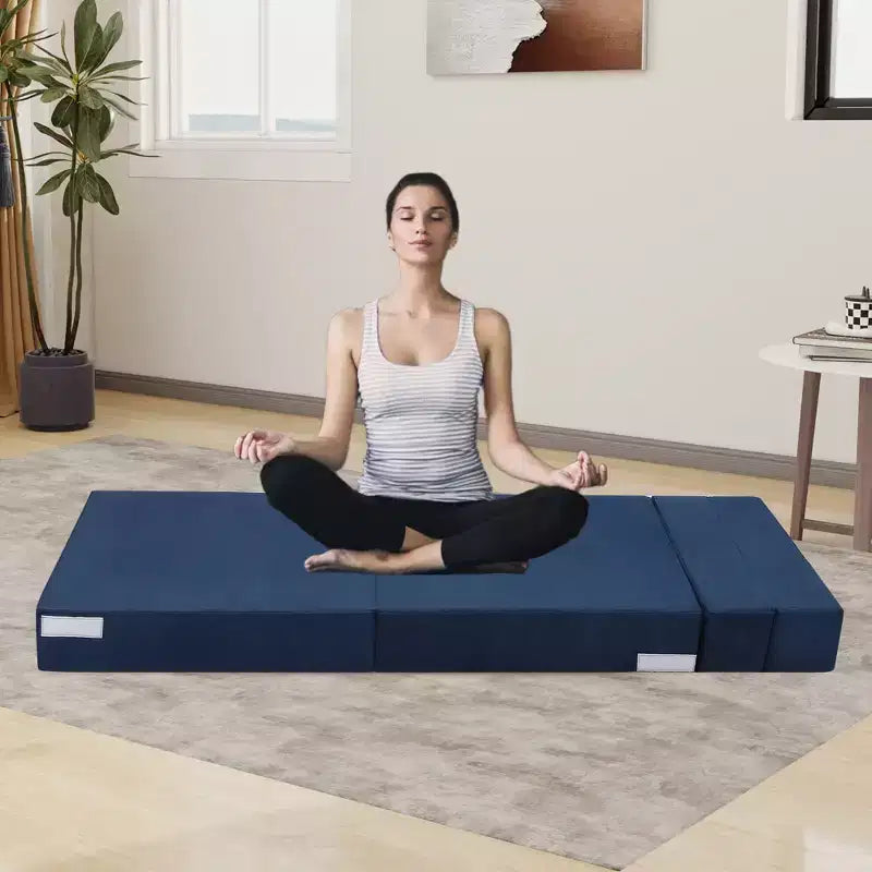 COZONY Folding Sofa Bed, Foldable Couch Bed with Pillow, Convertible Sleeper Mattress, Futon Floor Couch with Memory Foam Washable Cover, Single Size