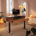 Standing Desk with Drawers, 48 Inches Electric Height Adjustable Desk with Storage, Whole Piece Board Sit Stand Up Desk with Monitor Shelf