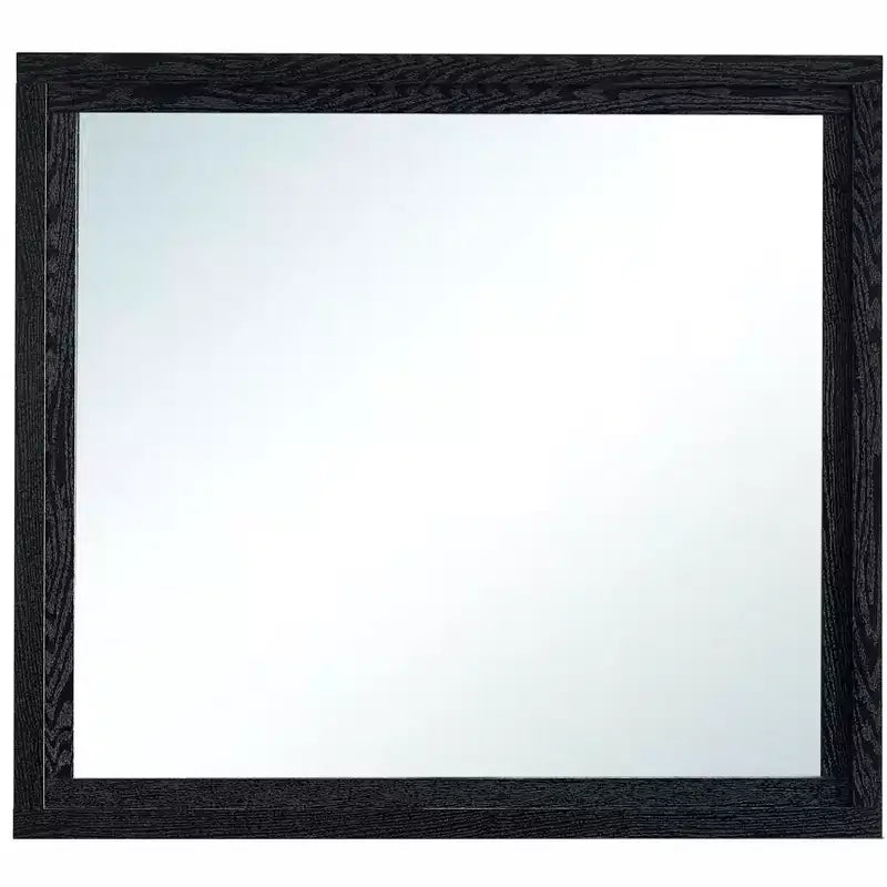 Passion Furniture Grande 41 in. W x 37 in. H Rectangle Wood Frame Black Dresser Mirror