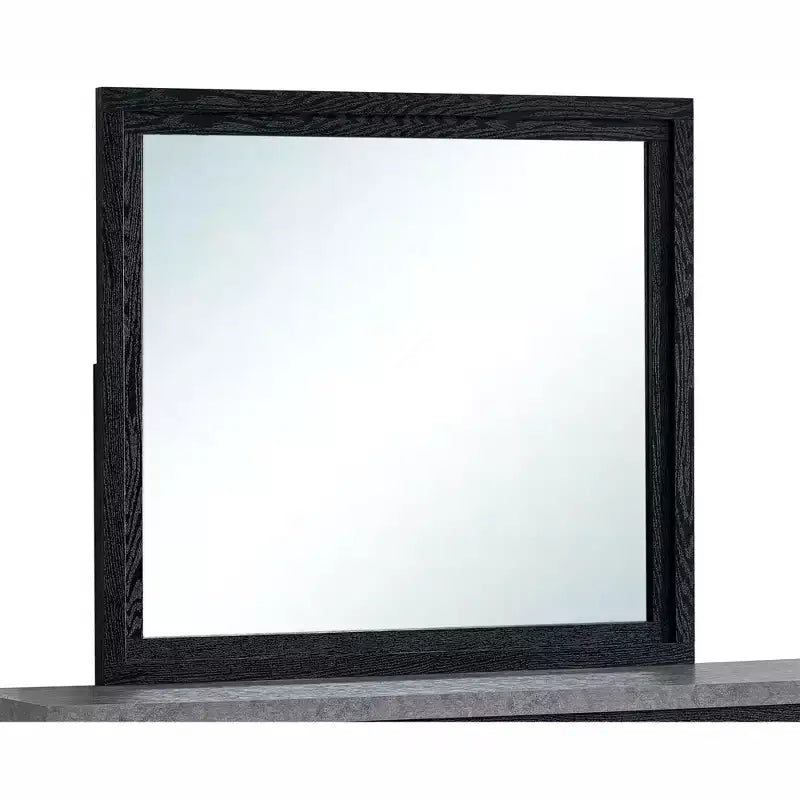 Passion Furniture Grande 41 in. W x 37 in. H Rectangle Wood Frame Black Dresser Mirror