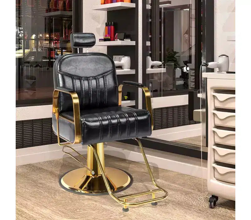 Karl Home All Purpose Heavy Duty Reclining Hair Salon Chair with Headrest