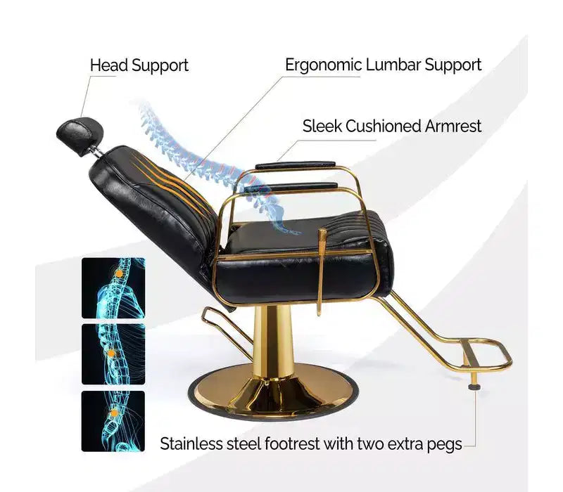 Karl Home All Purpose Heavy Duty Reclining Hair Salon Chair with Headrest