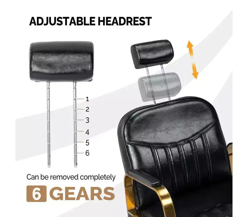 Karl Home All Purpose Heavy Duty Reclining Hair Salon Chair with Headrest