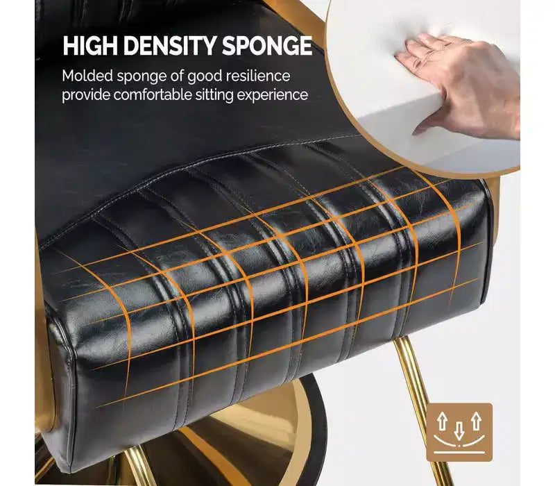 Karl Home All Purpose Heavy Duty Reclining Hair Salon Chair with Headrest