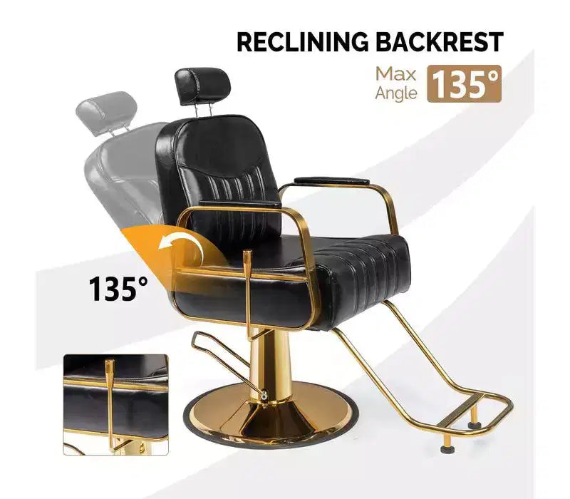 Karl Home All Purpose Heavy Duty Reclining Hair Salon Chair with Headrest