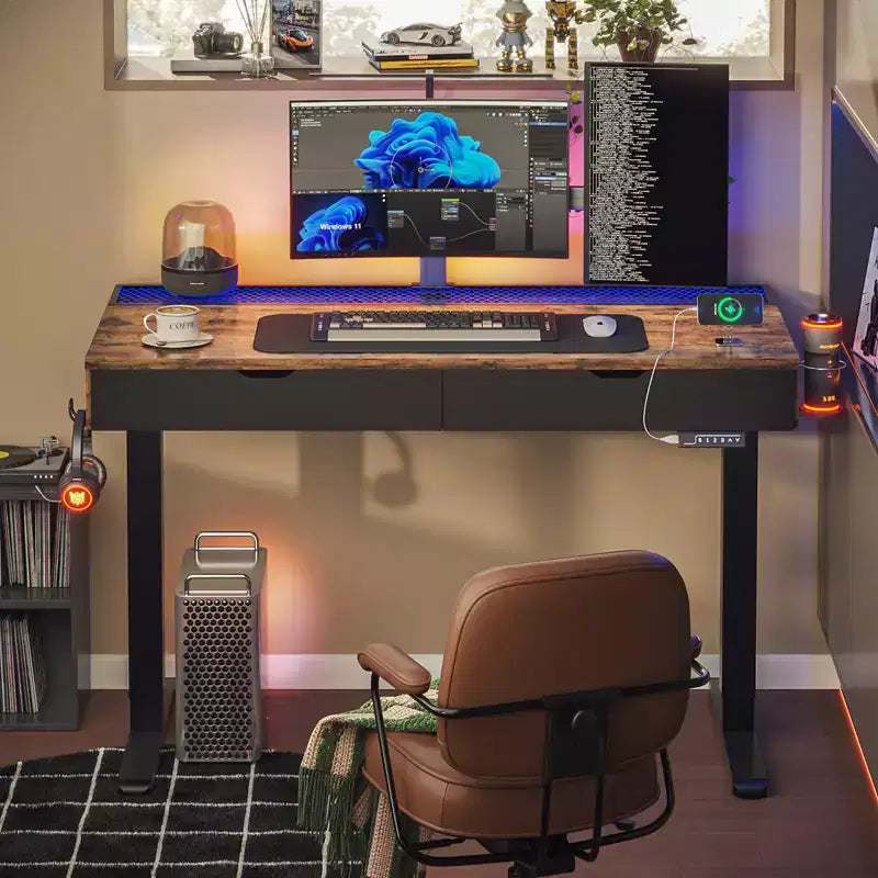 Bestier 47 Inch Electric Standing Desk with 2 Drawers & LED Light for Home Office, Height Adjustable Computer Desk, Gaming Table with USB Charging