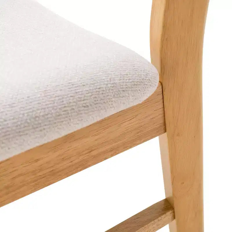 Set of 2 Lucious Dining Chair - Christopher Knight Home