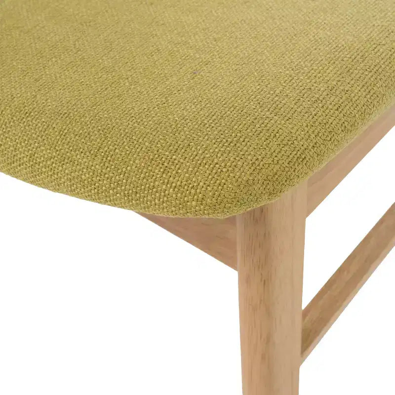 Set of 2 Lucious Dining Chair - Christopher Knight Home