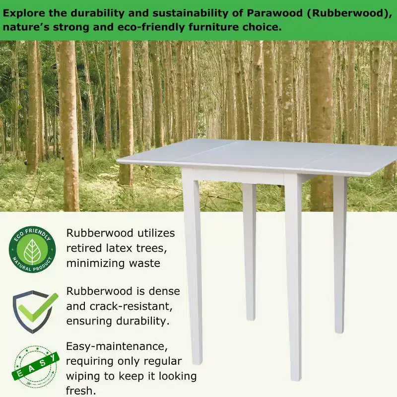 Tate Dropleaf Dining Table - International Concepts