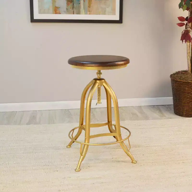 Carolina Living Wren Adjustable Stool