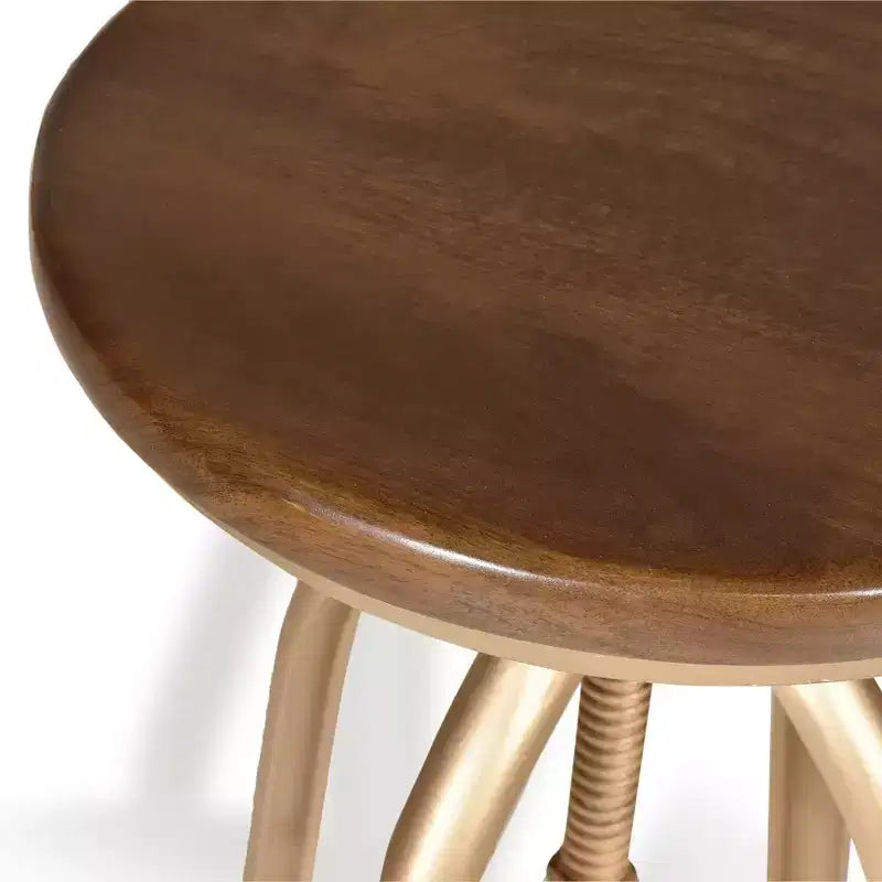 Carolina Living Wren Adjustable Stool