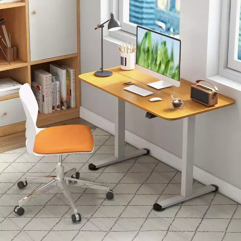 Costway Electric Standing Desk Height Adjustable Sit to Stand Computer Workstation Home Office