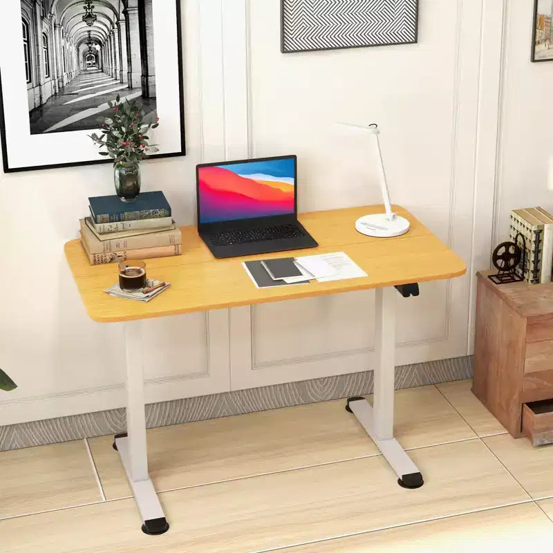 Costway Electric Standing Desk Height Adjustable Sit to Stand Computer Workstation Home Office