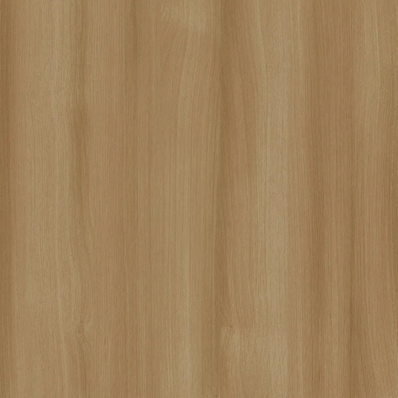 Chaises de salle à manger élégantes en bois (Lot de 2)